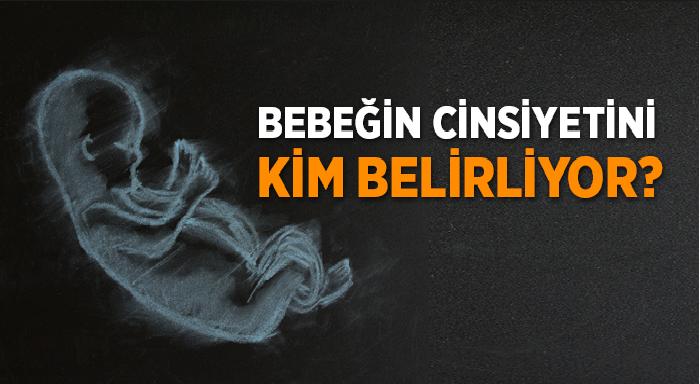 Doğacak Bebeğin Cinsiyetini Anne mi Belirler Baba mı ?