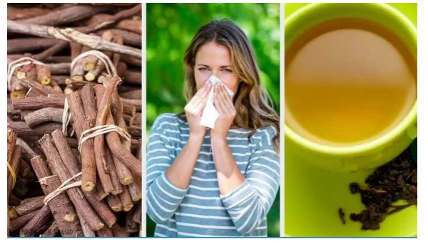 Rinit Nedir ? Rinit ile Mücadelede Doğal Çözümler